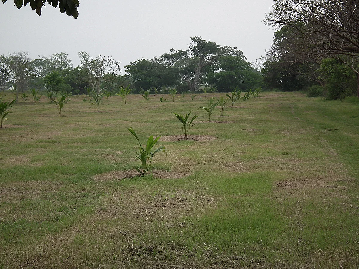 Así empezamos en 2011