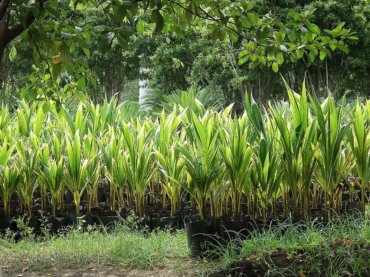 Nuestra producción.